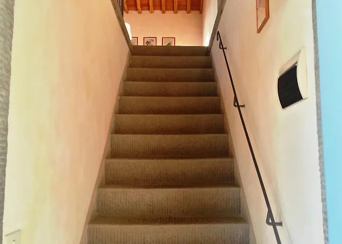 Odina Agriturismo Loro Ciuffenna